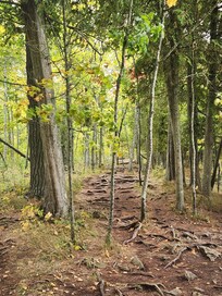 Cave Point State Park