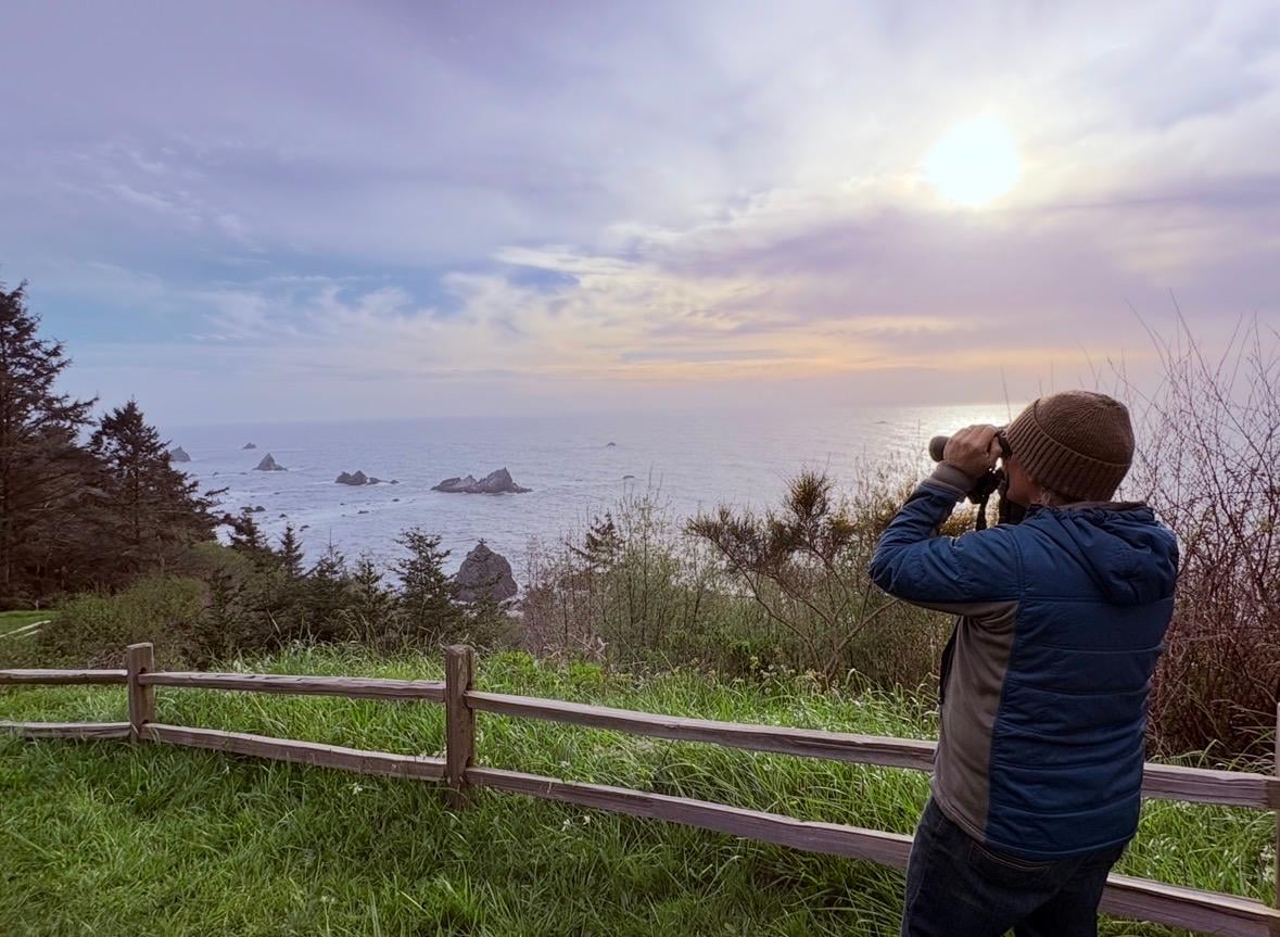 Watching sea lions through the home binoculars 