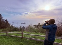 Watching sea lions through the home binoculars