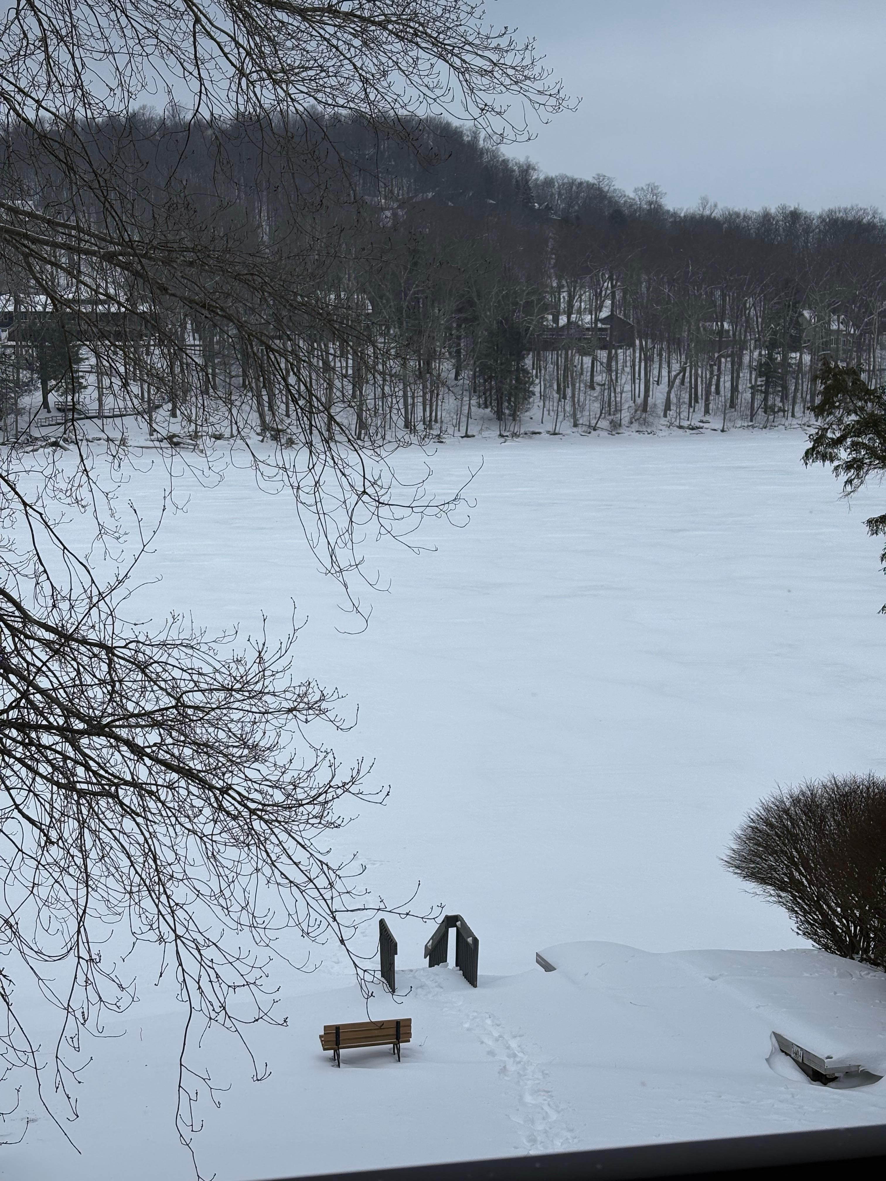 View of the lake from the deck. 