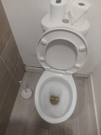 Urine in toilet upon arrival