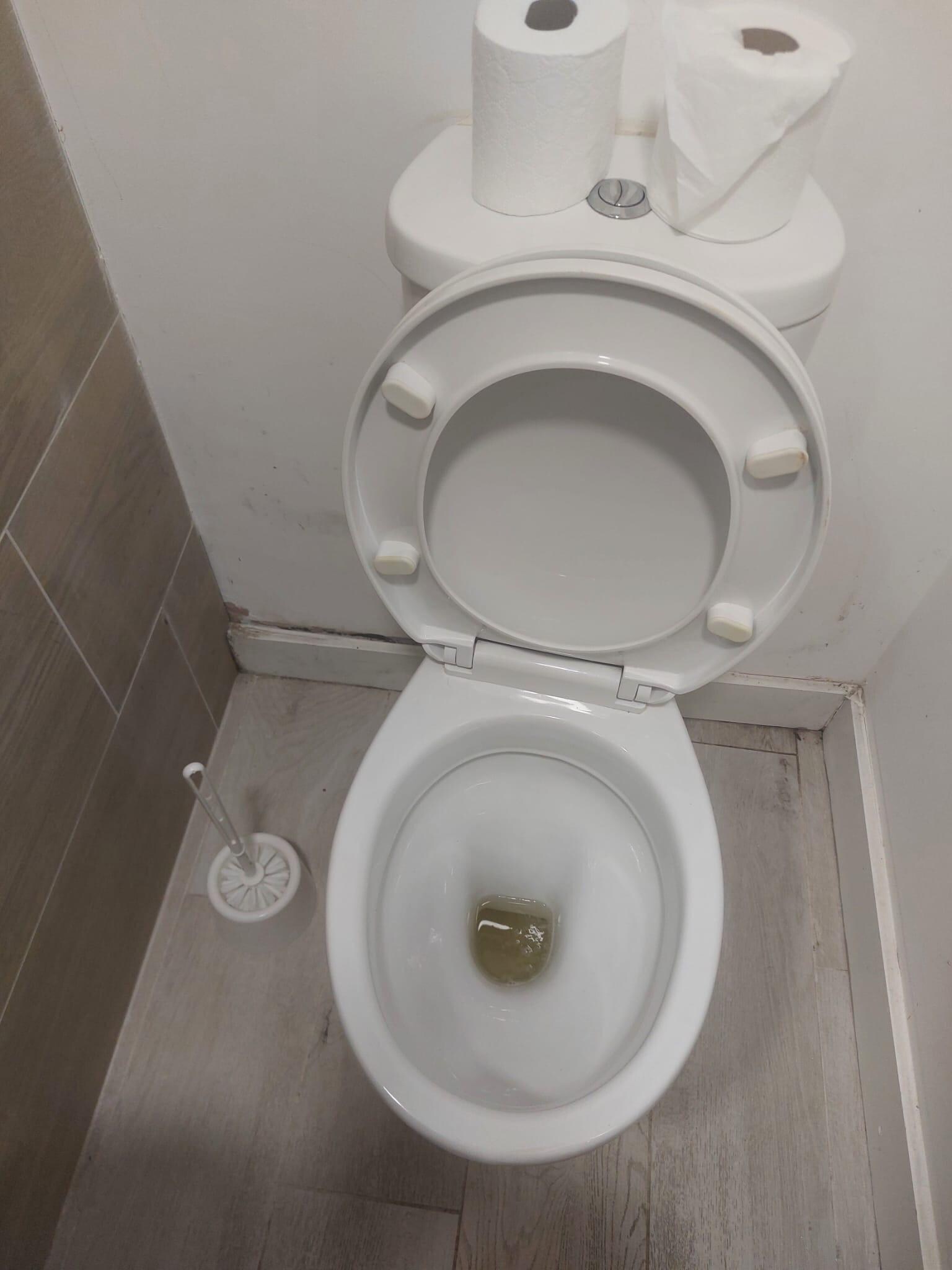Urine in toilet upon arrival