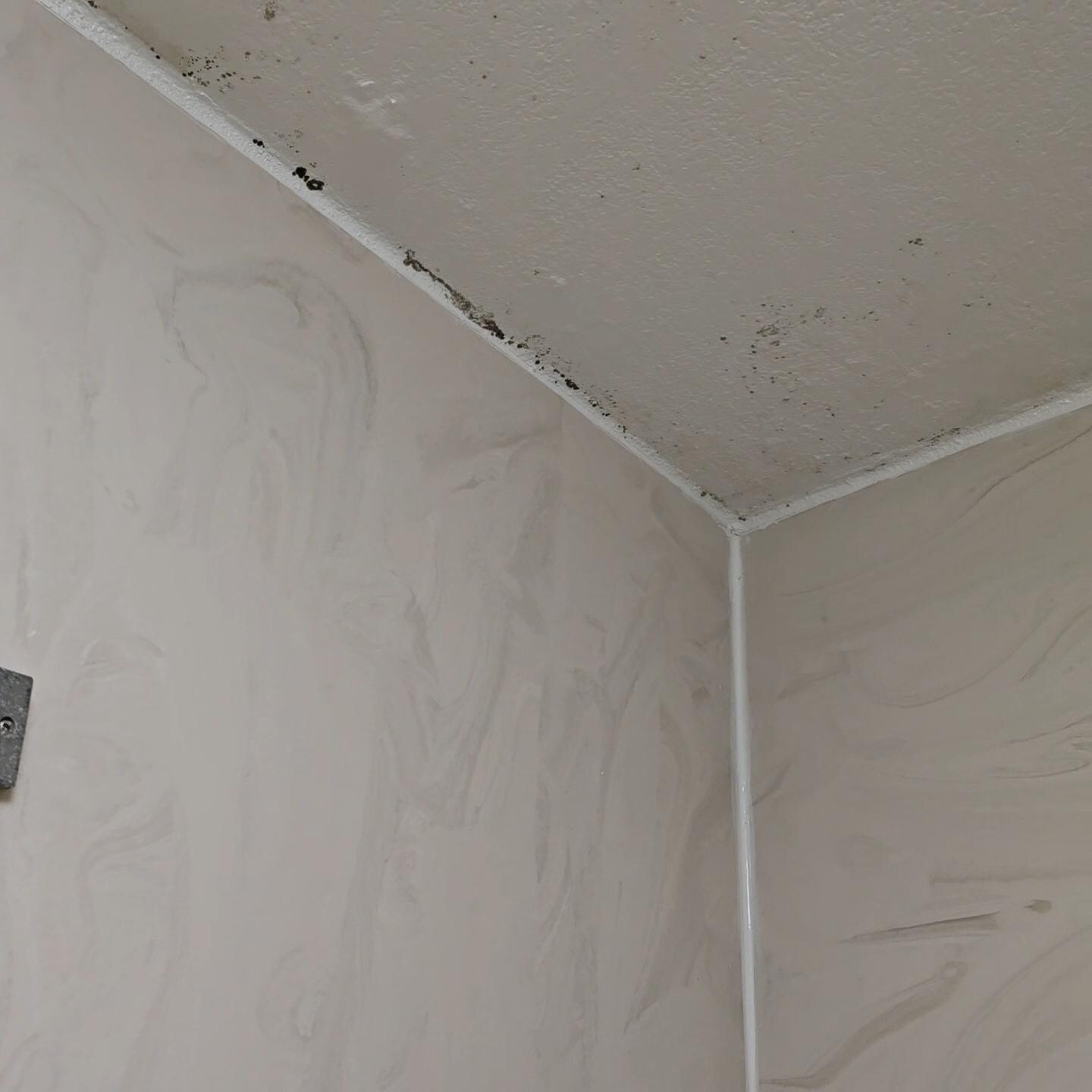 Mold in bathroom 