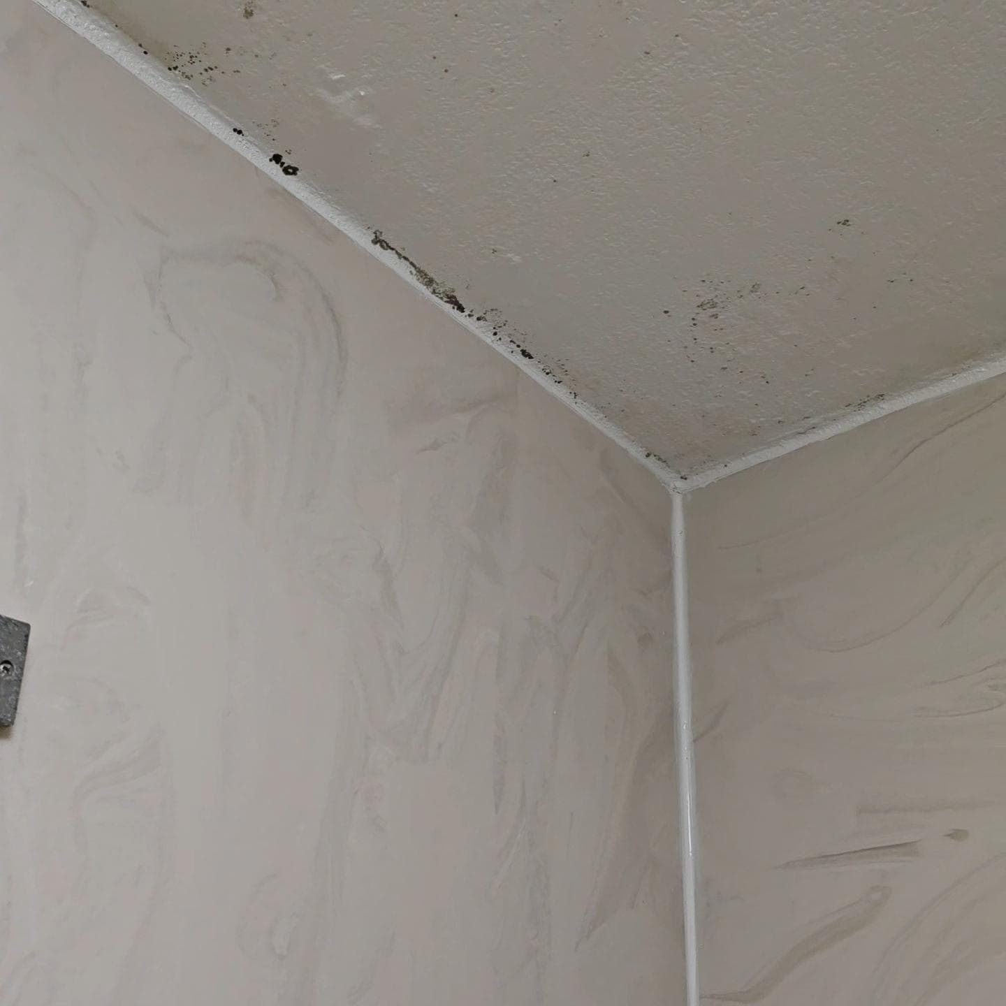 Mold in bathroom