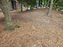 The area of the tripping hazard