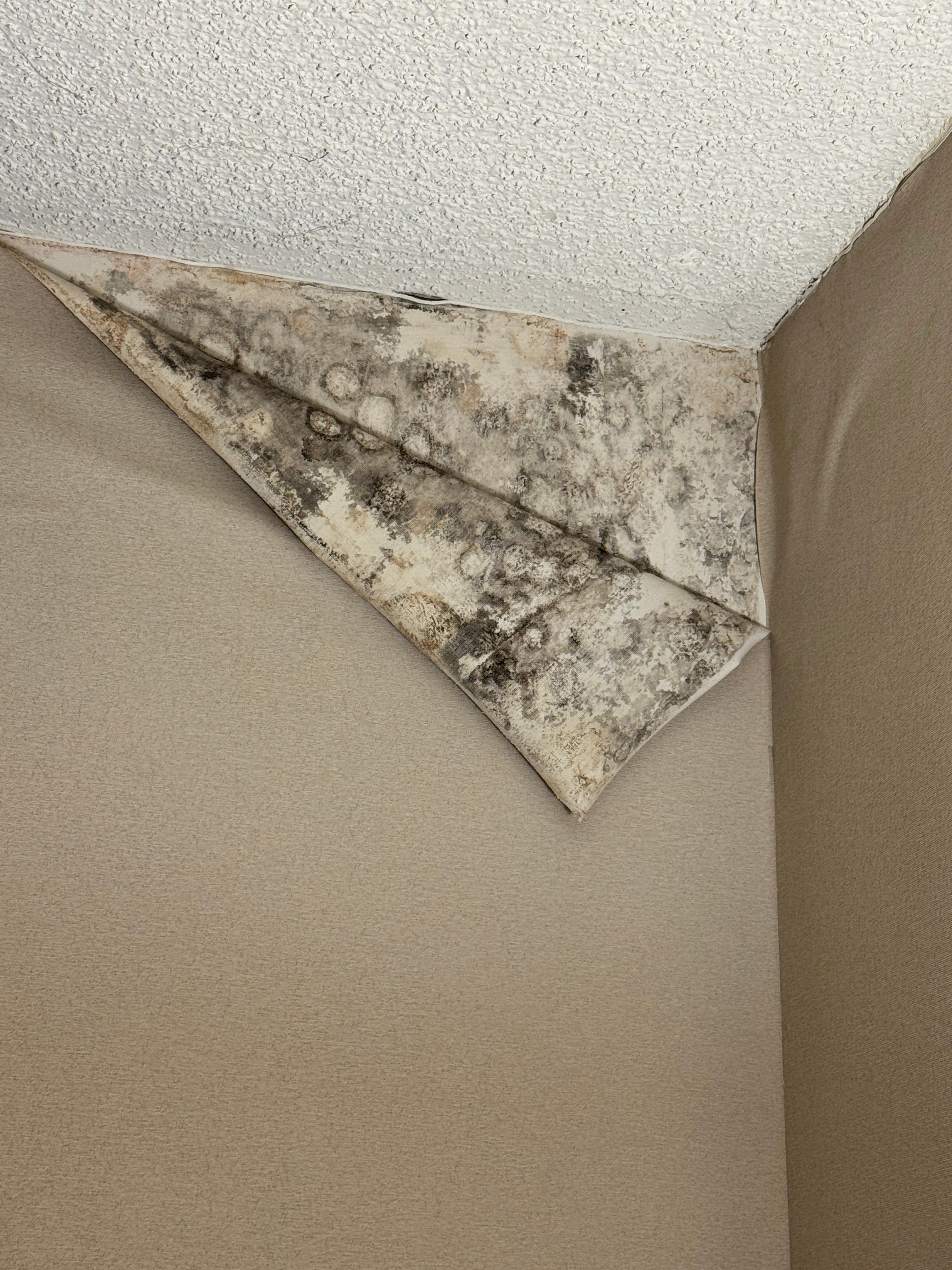 wallpaper peeling in the corner of our first room.