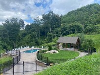 The pool was absolutely amazing. Had two interactions with black bears here.