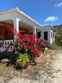 Jocelyn's garden is beautiful.