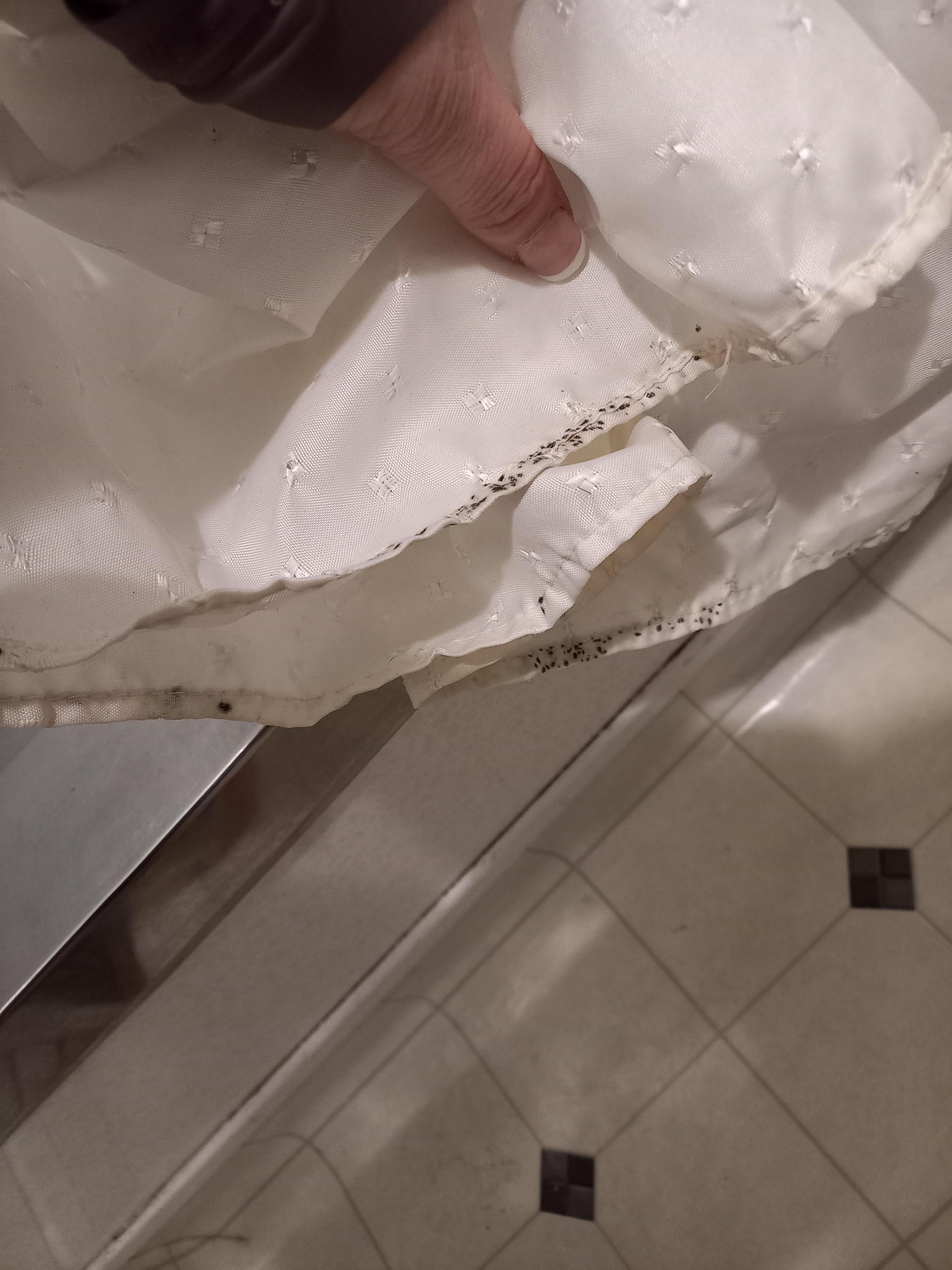 Mould on shower curtain
