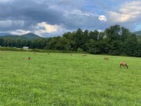 Oconaluftee Welcome Center