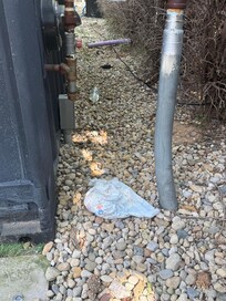 Litter outside the pool area proving there was insufficient or no cleaning done outside