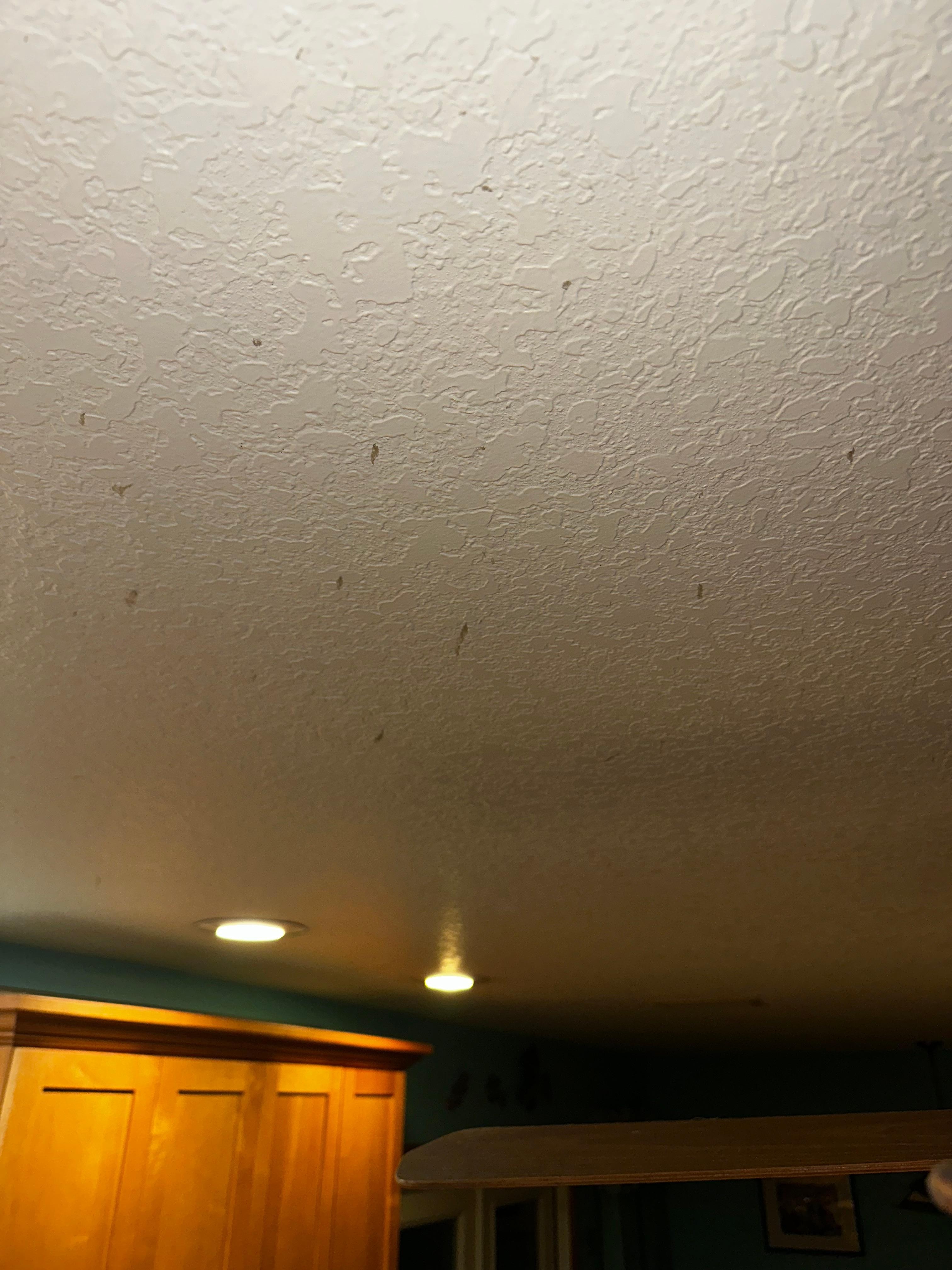 Kitchen ceiling. Hard to see but the dots scattered across are hanging clumps of dust. 