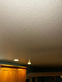Kitchen ceiling. Hard to see but the dots scattered across are hanging clumps of dust.