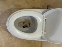 blocked toilet