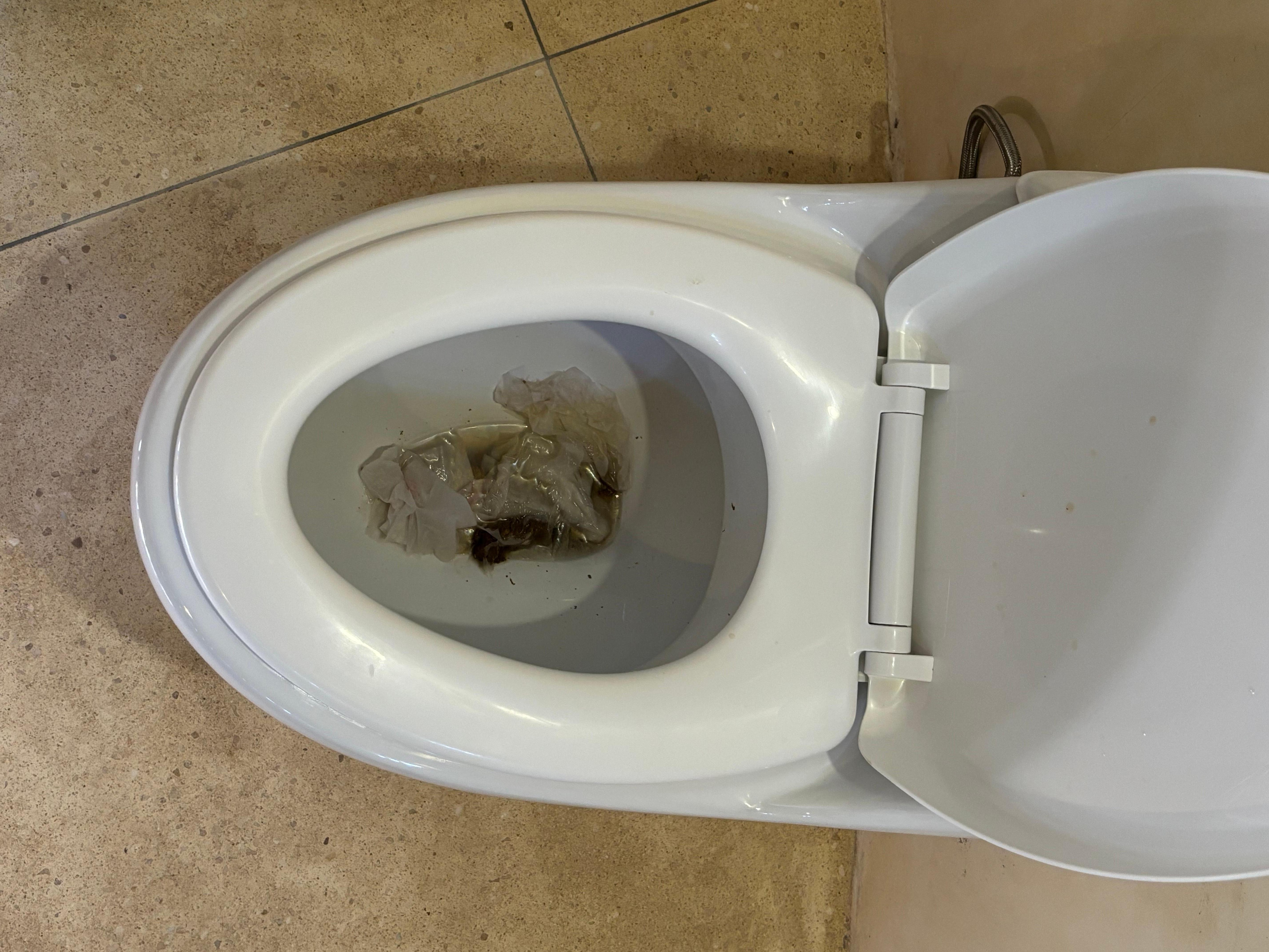 blocked toilet