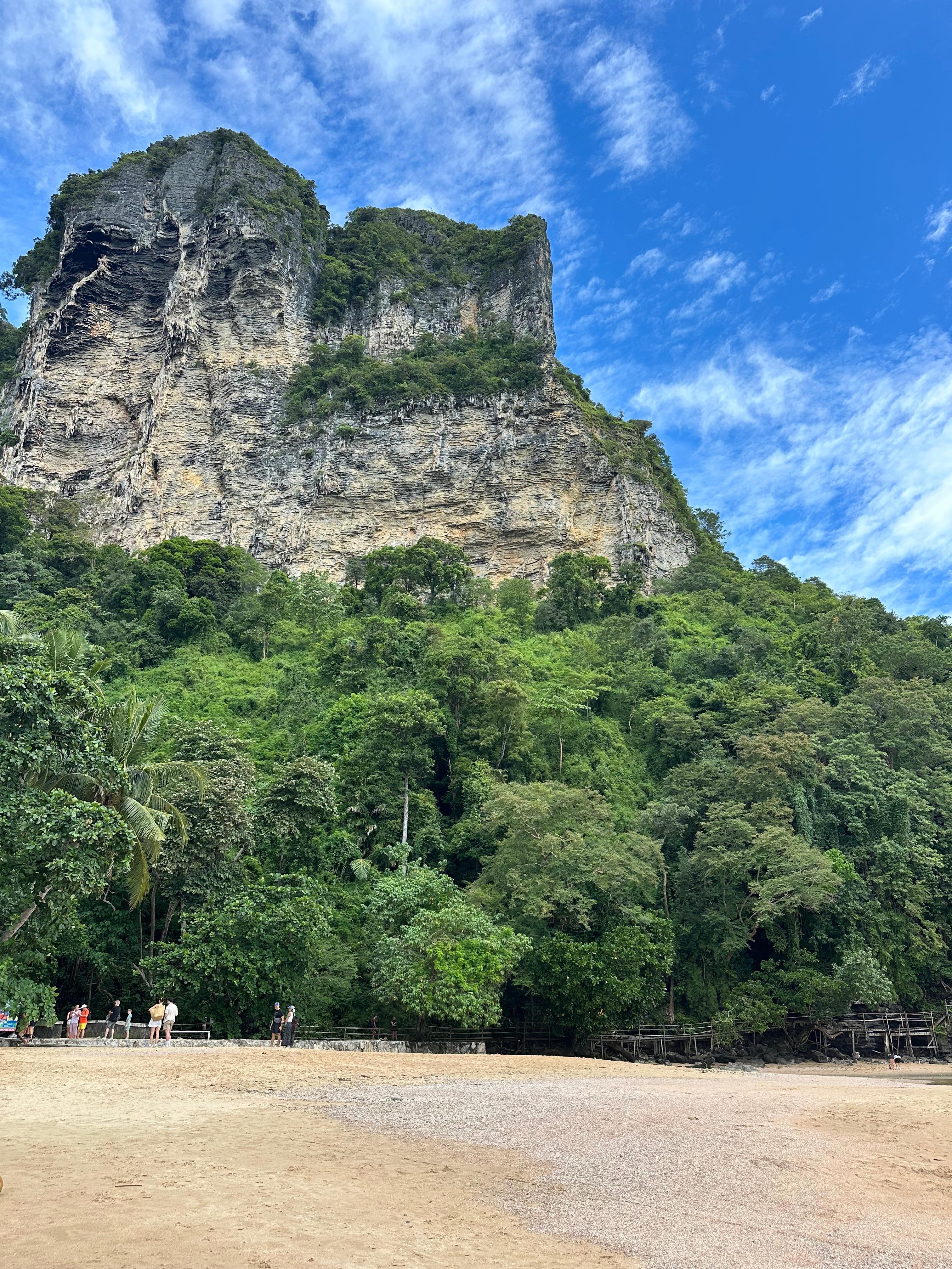 View from my balcony 