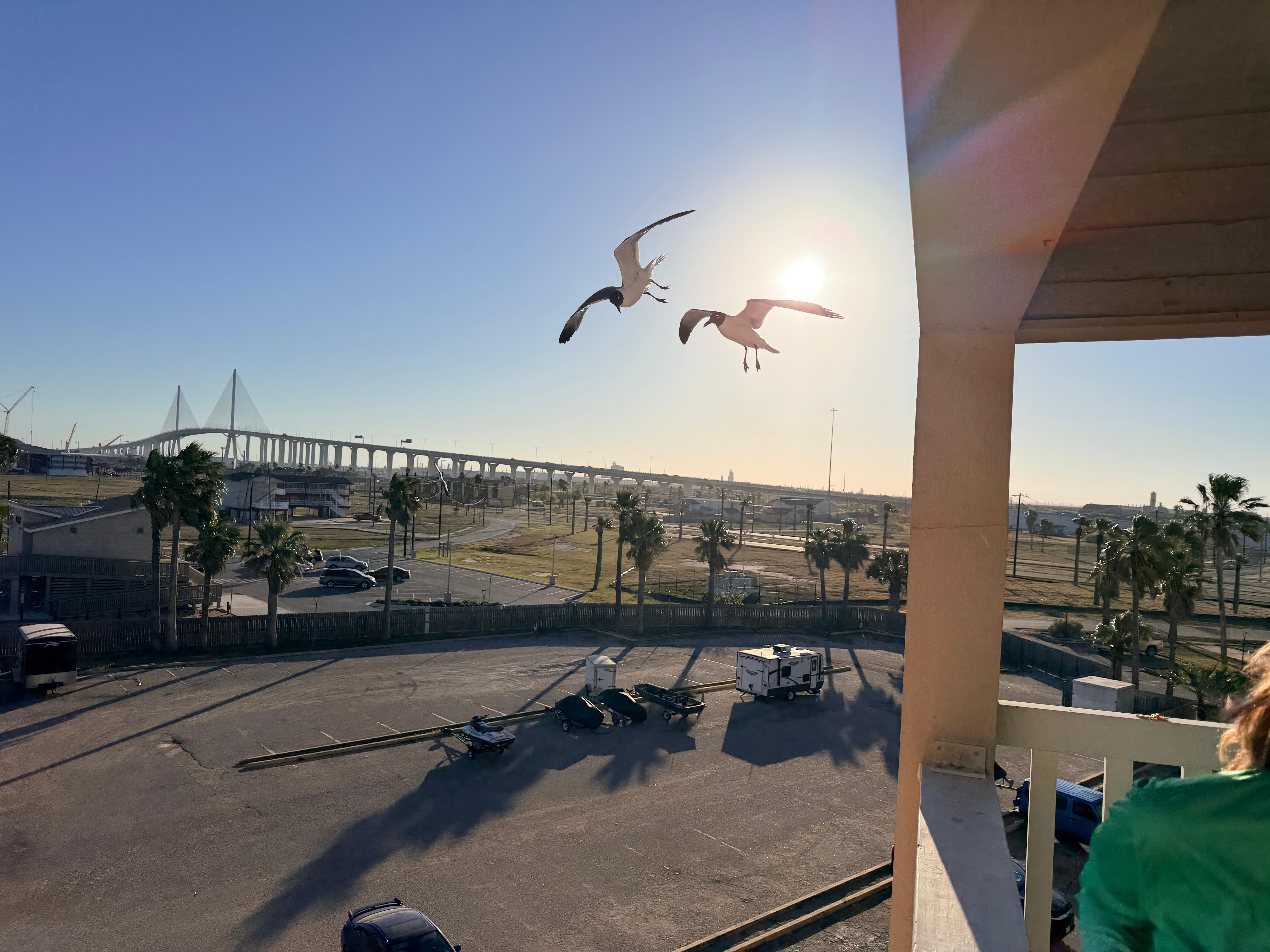 The view from the balcony by day. 