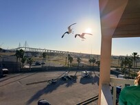 The view from the balcony by day.