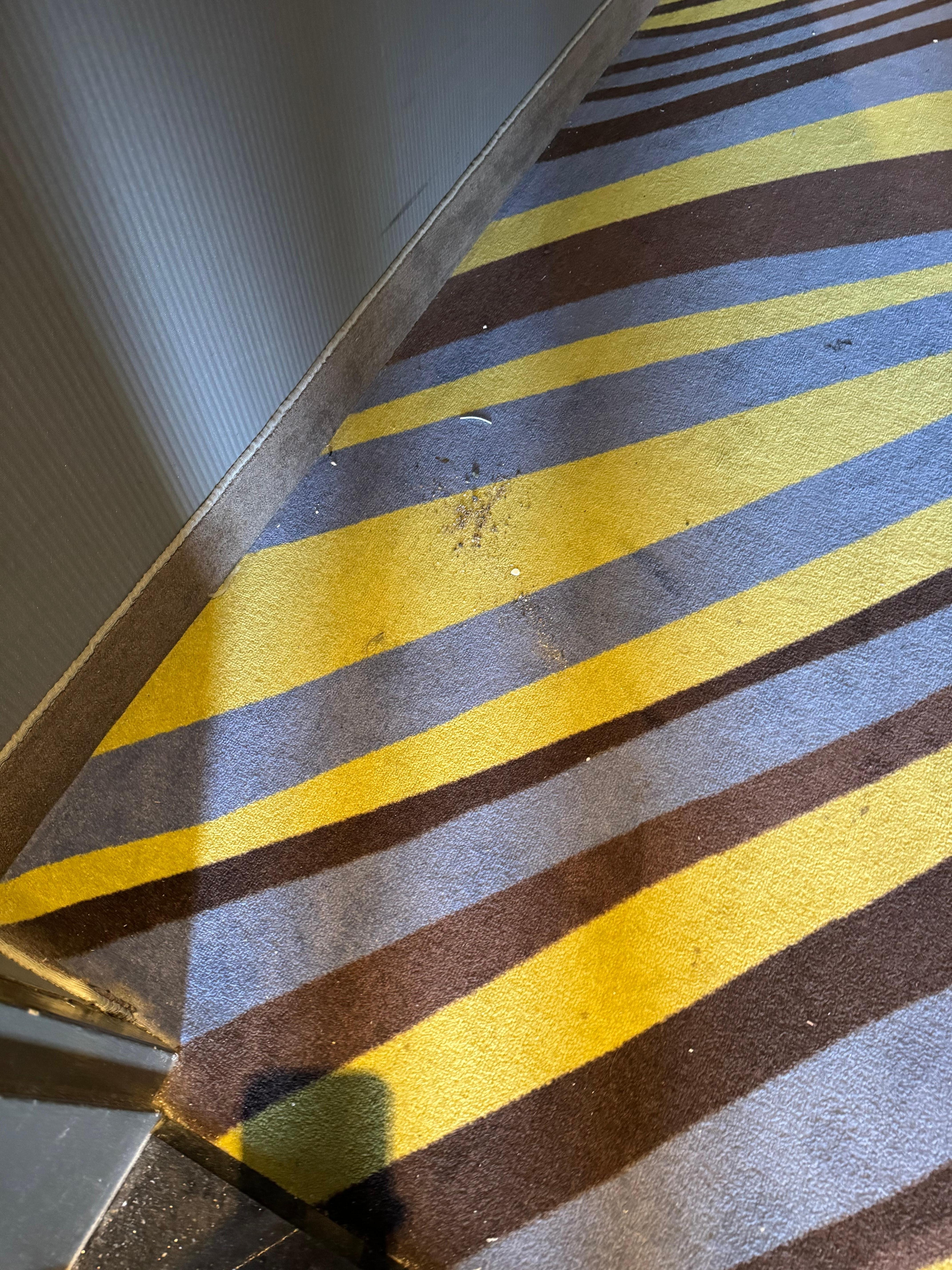 Filthy carpet outside our room. It was never vacuumed in the three days we were there. 