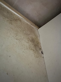 Mould in bedrooms