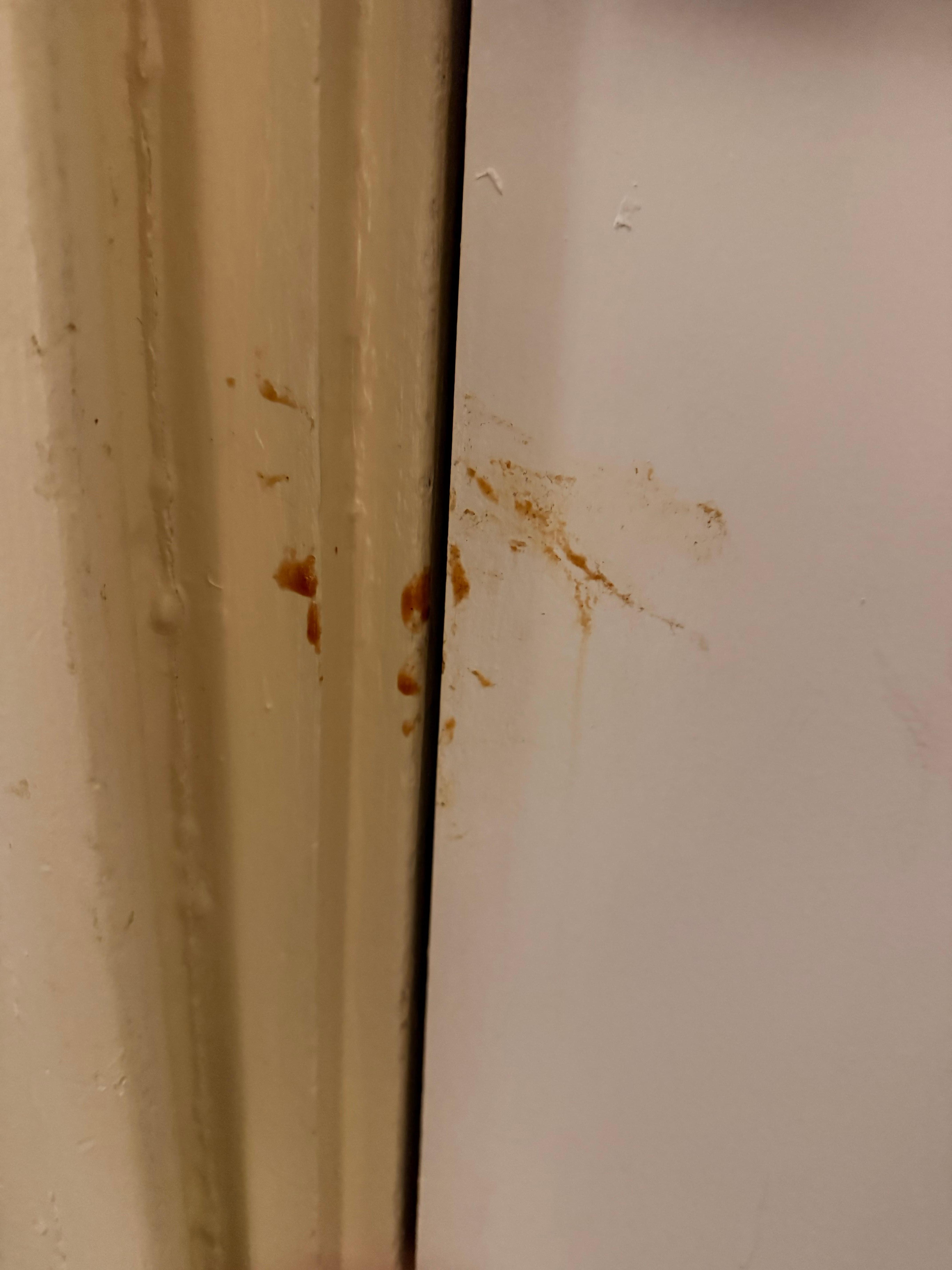 Stuff like this all over