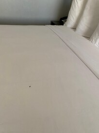 Insects crawling on the bed! Shall be posting these on websites where hotels are advertised