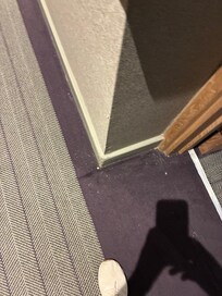 Hallway carpet
