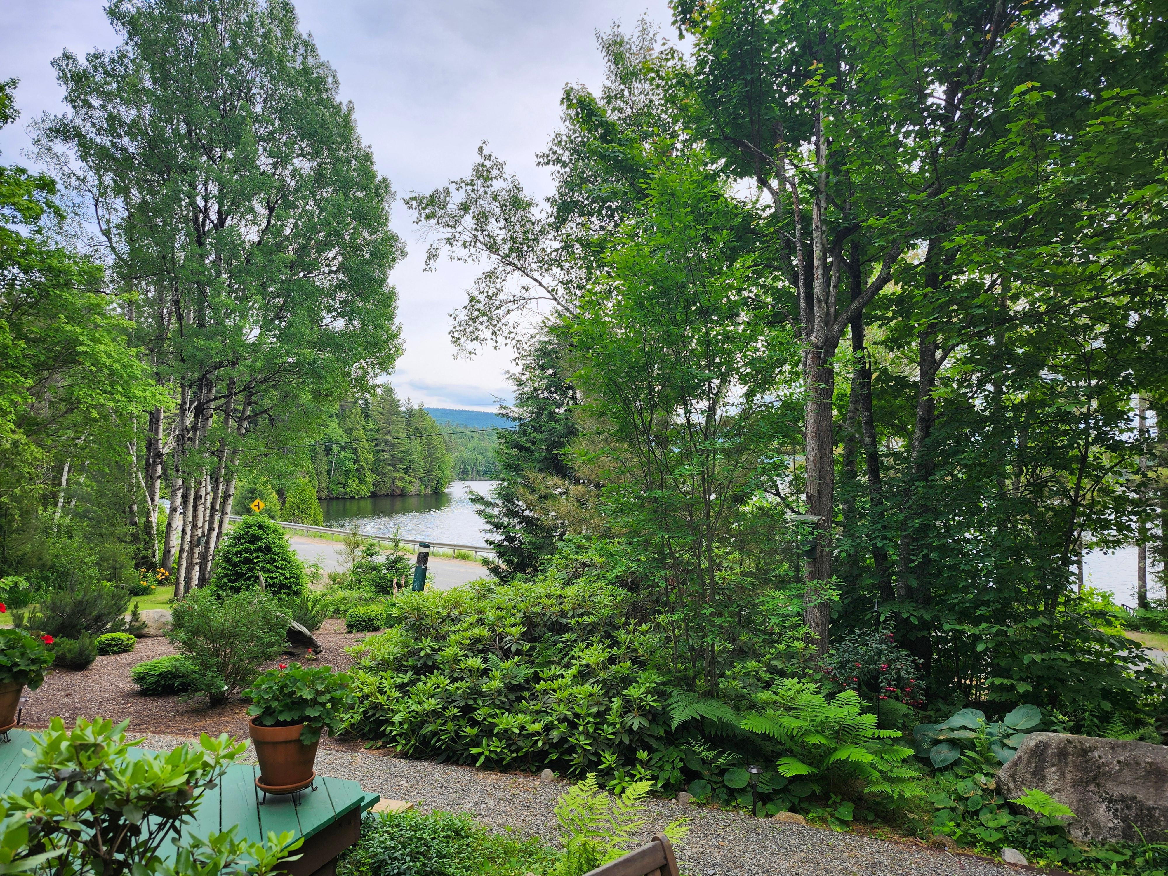 View of the pond from the patio