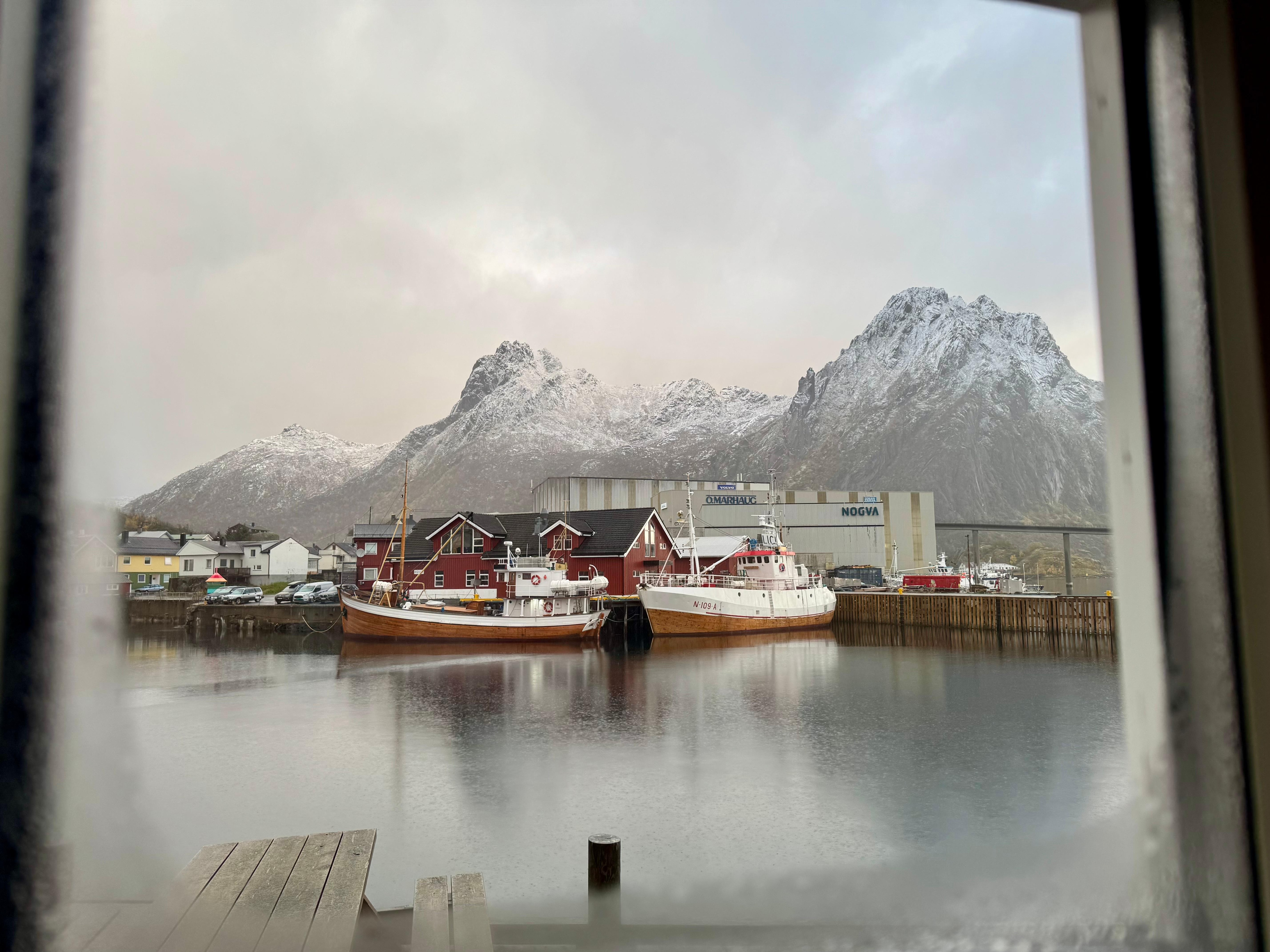 The view from our dining room window