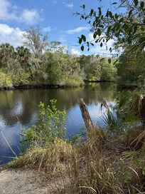 View of the Withlacoochee River