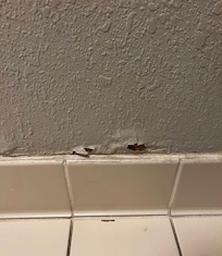 Bathroom is falling apart