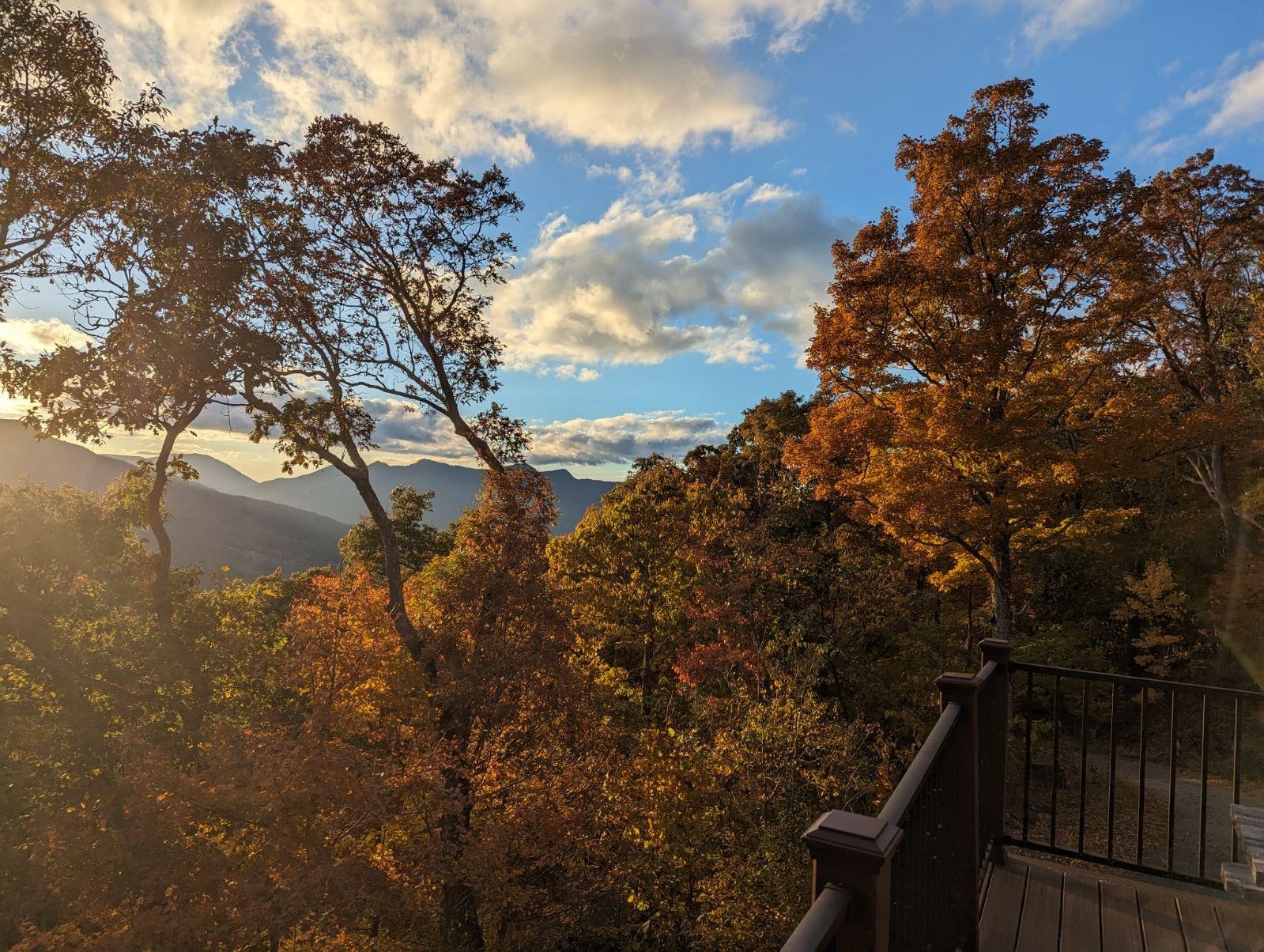 View from the back deck.