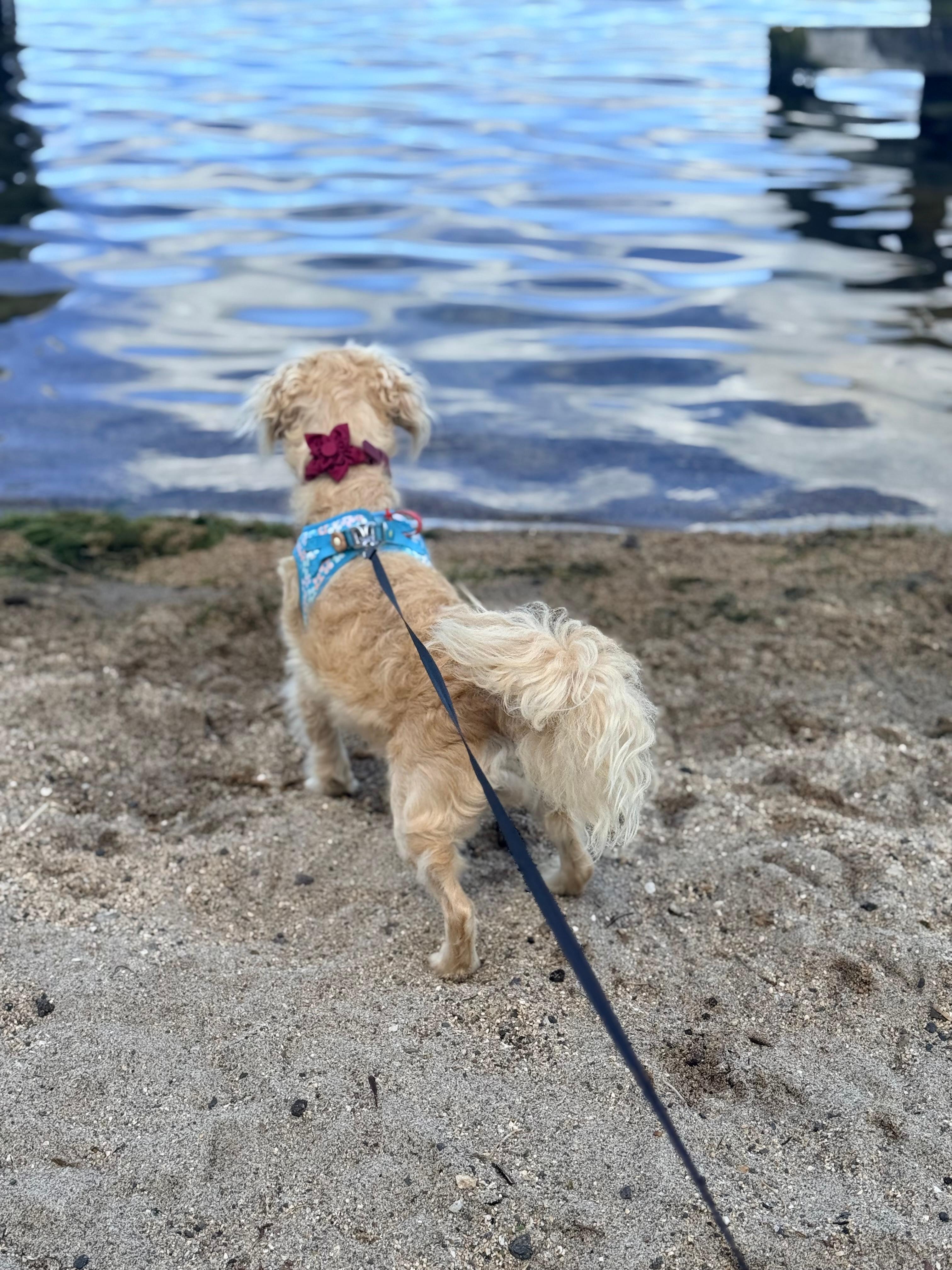 Stroll down to the water