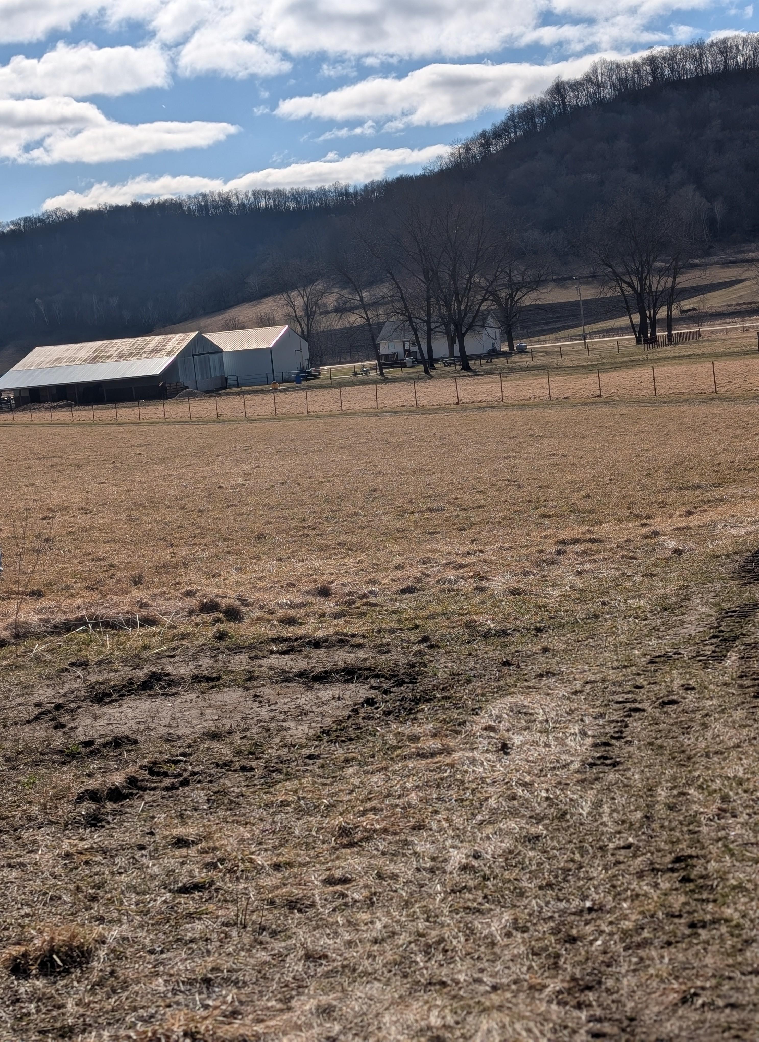 View of property coming from hiking trail 