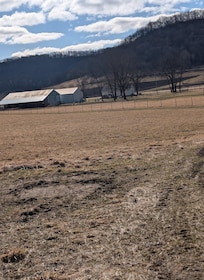 View of property coming from hiking trail
