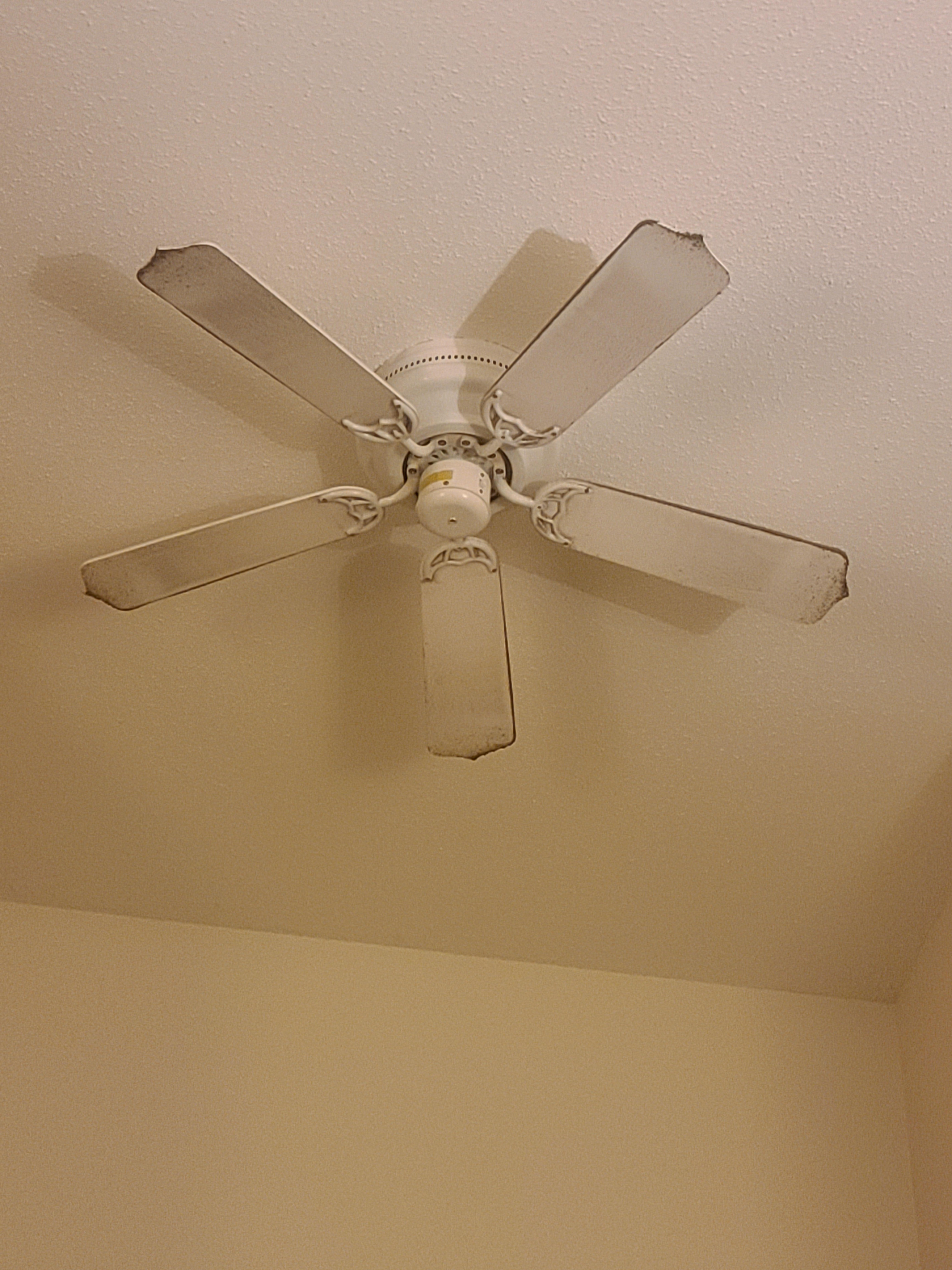 Filthy ceiling fan 