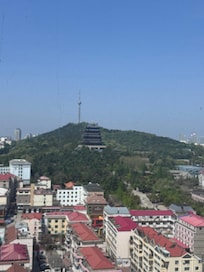바다뷰는 아니지만! 반대편 산뷰~도 좋아요!