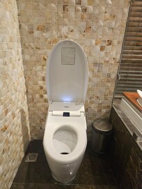 Leaking toilet that rendered the bathroom inoperable