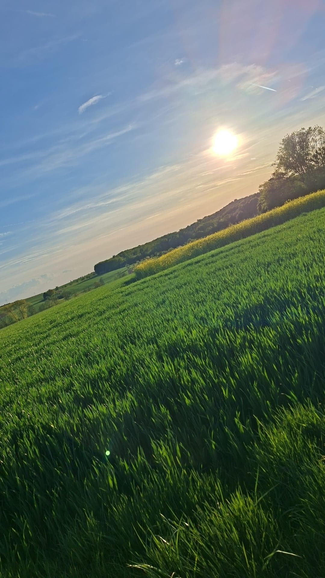 Direkt hinterm Haus übers Feld