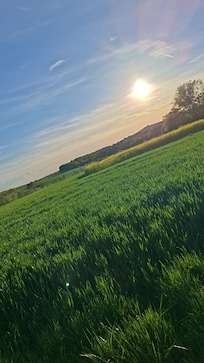Direkt hinterm Haus übers Feld