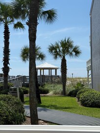 View from the backyard.