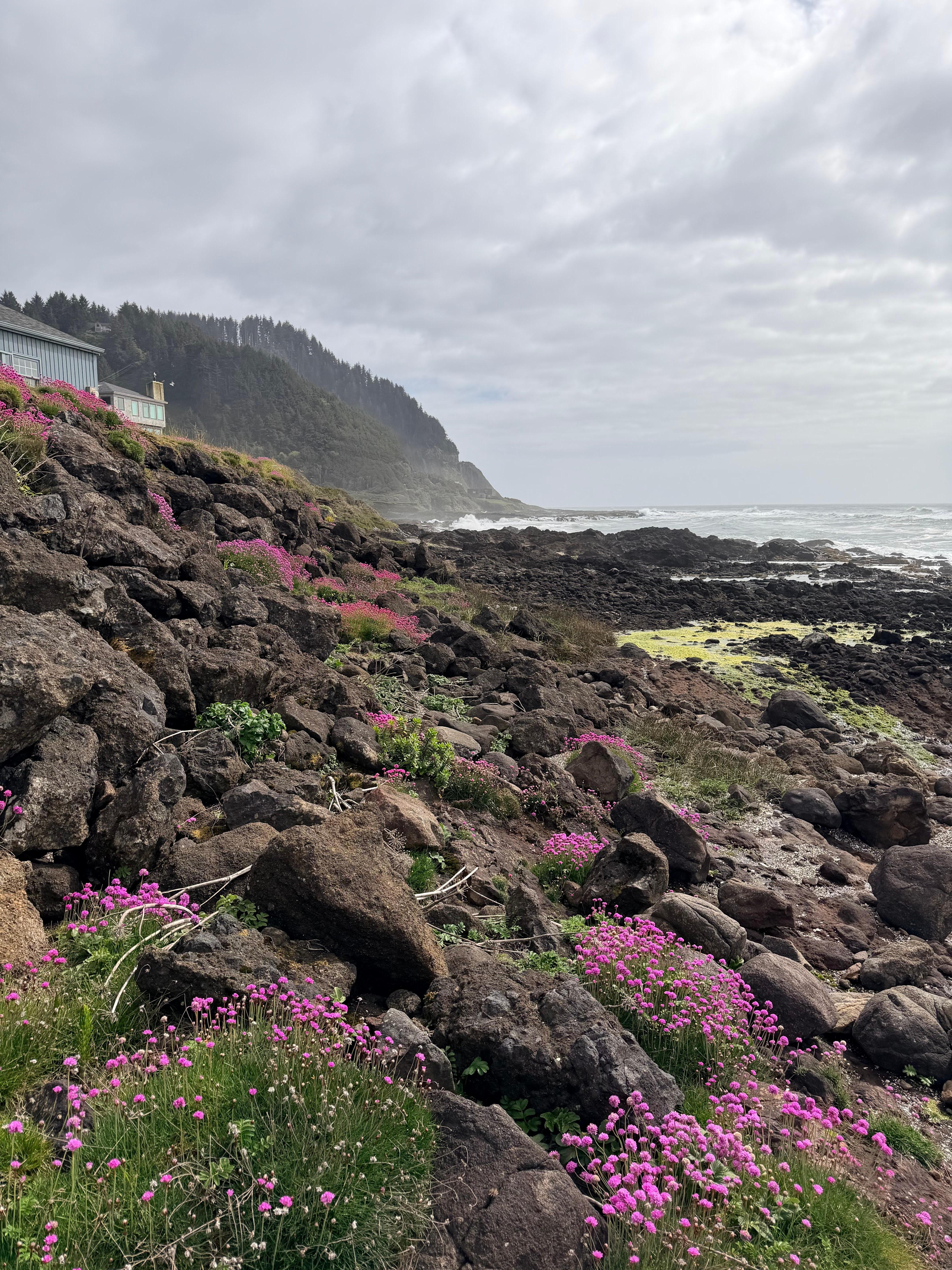 View of the house from the rocks out front