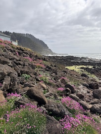View of the house from the rocks out front