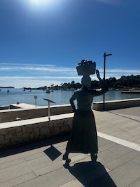 Bay area