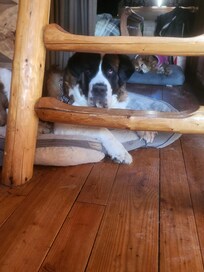 Is it meal time yet?