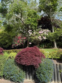 Upper garden