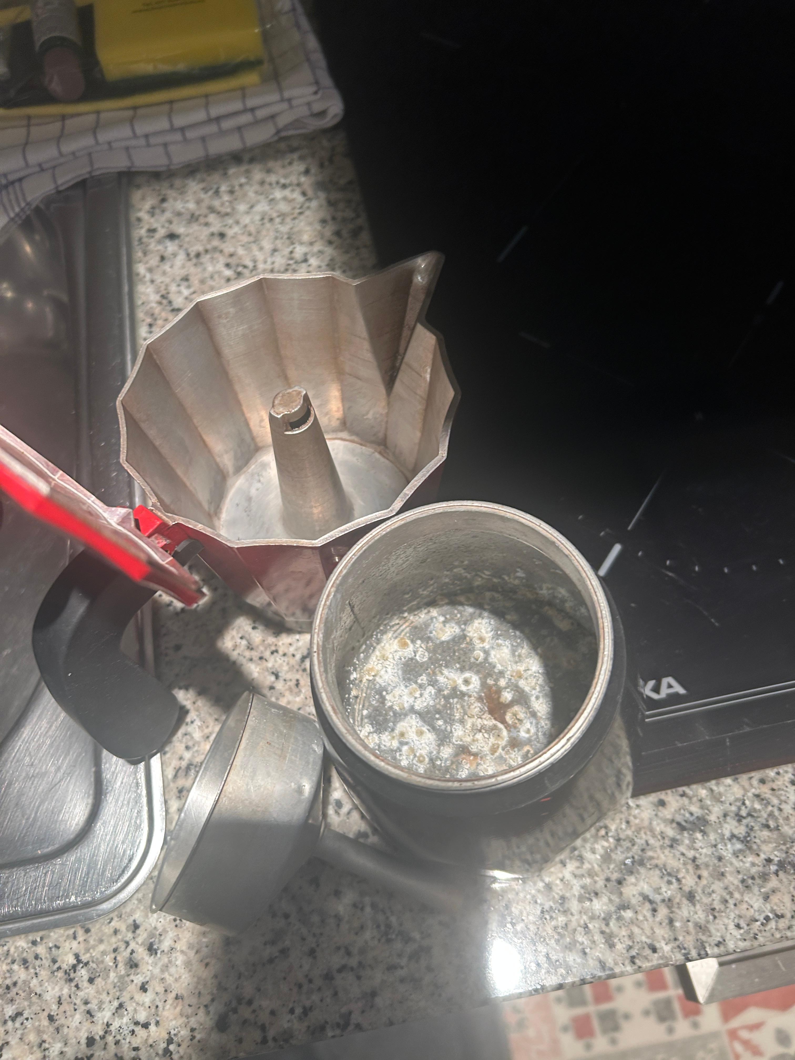 Coffee perculator mouldy inside