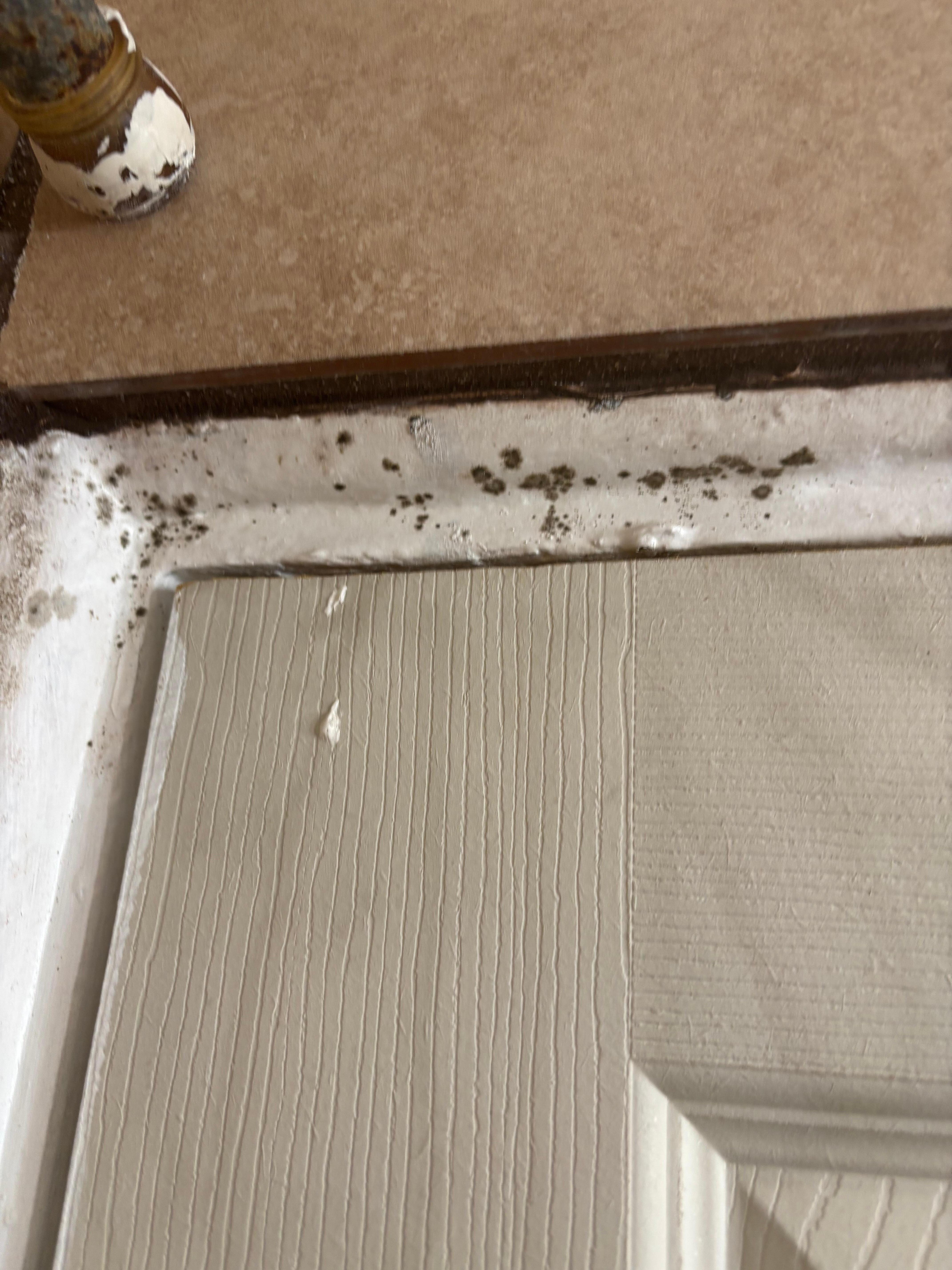Bathroom door