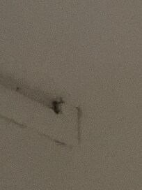 araignées à l'arrivée