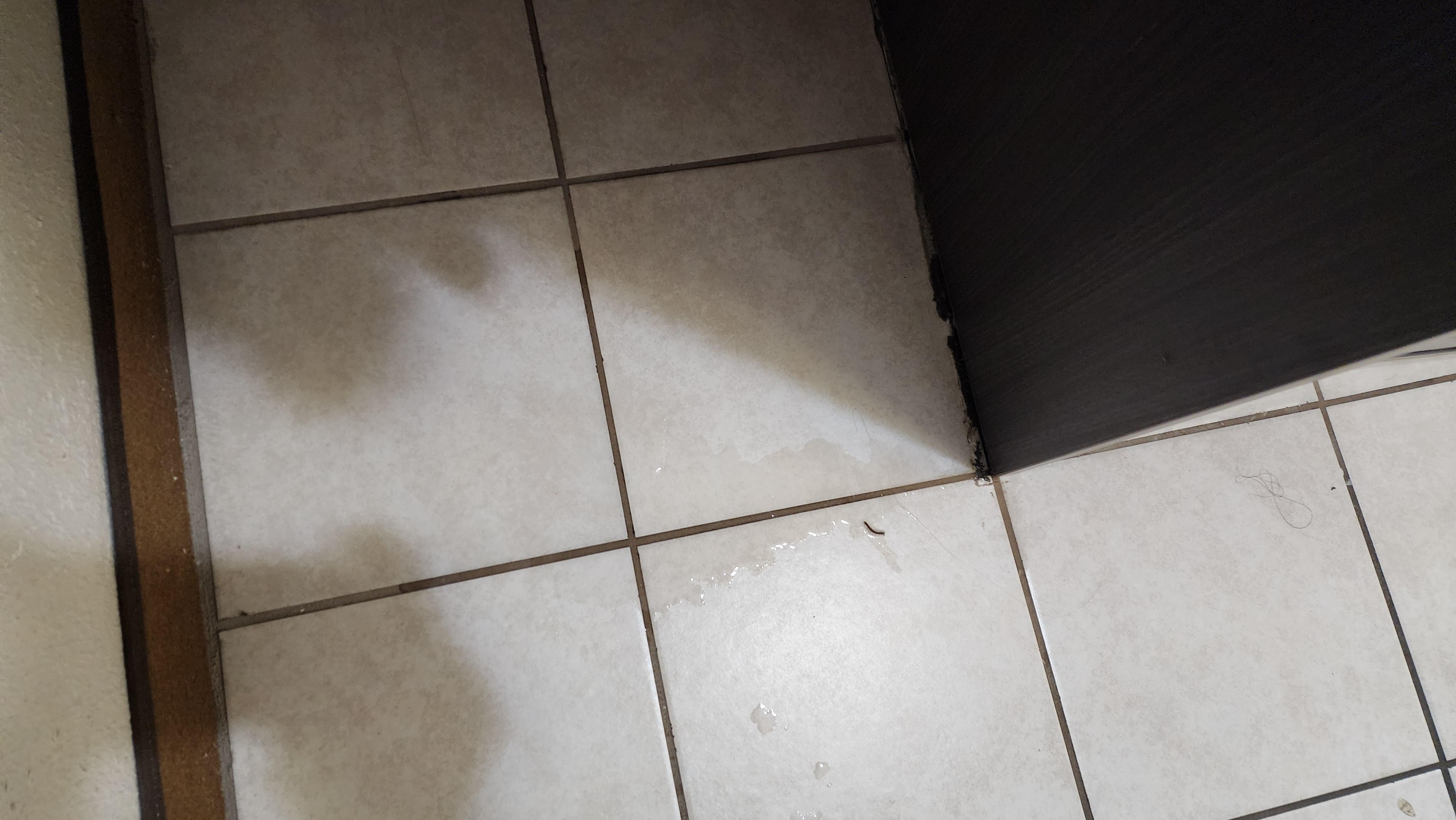 Another view of fridge leaking